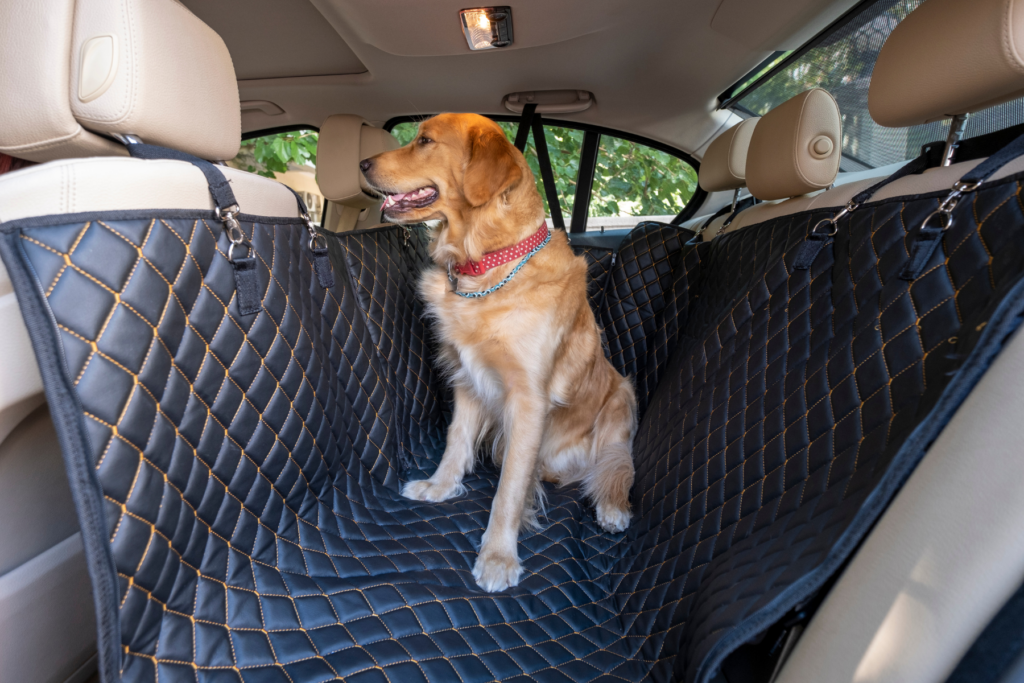 Taxi para mascotas